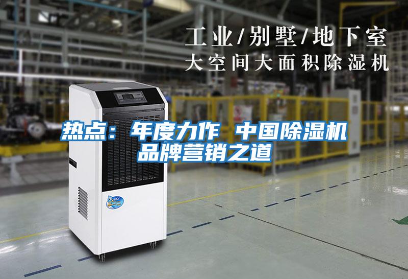 熱點：年度力作 中國除濕機品牌營銷之道