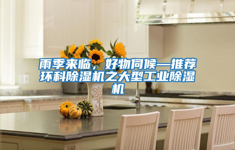 雨季來臨,好物伺候—推薦環科除濕機之大型工業除濕機