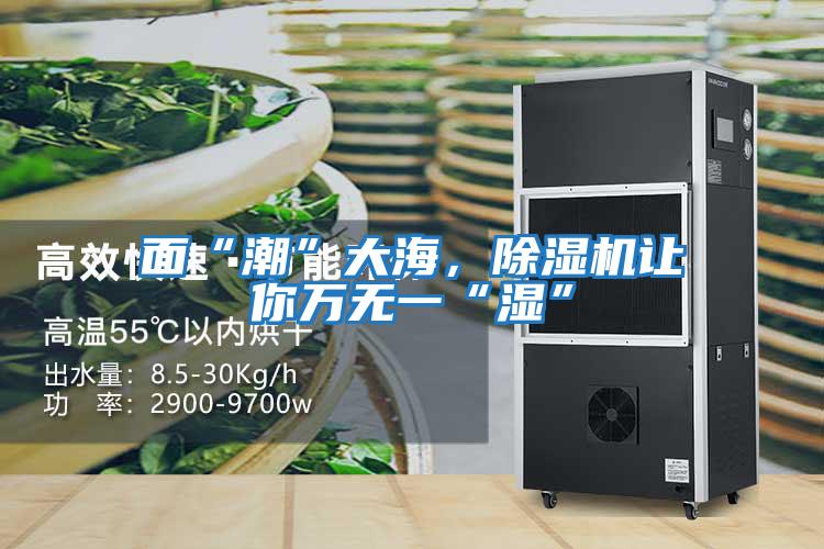 面“潮”大海,除濕機(jī)讓你萬(wàn)無(wú)一“濕”