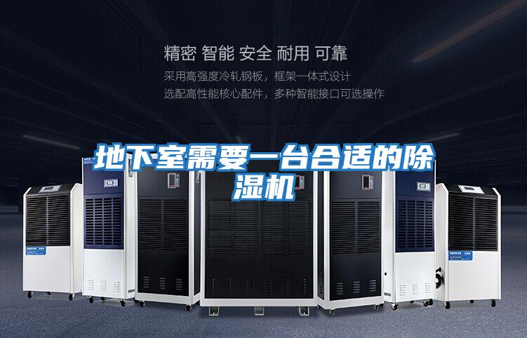 地下室需要一臺合適的除濕機(jī)