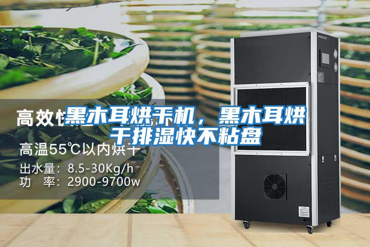 黑木耳烘干機，黑木耳烘干排濕快不粘盤