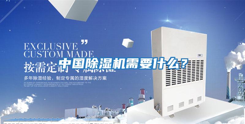 中國除濕機需要什么？
