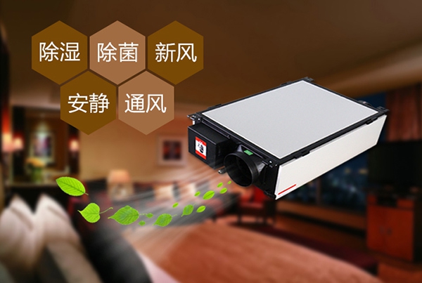 防范豬仔大腸桿菌病，用過氧化氫低溫滅菌器