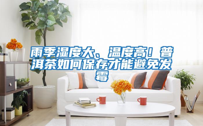 雨季濕度大、溫度高！普洱茶如何保存才能避免發霉