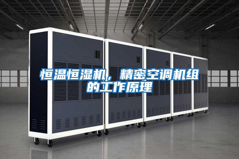 恒溫恒濕機，精密空調機組的工作原理