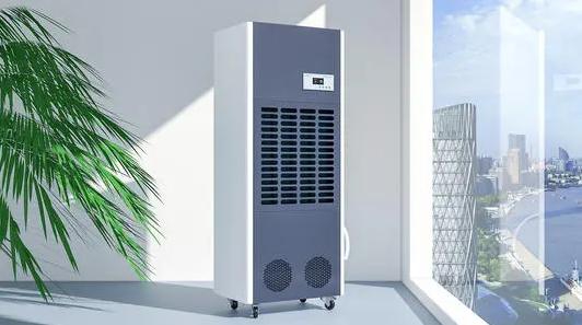 難見太陽，南方潮濕，使用除濕機