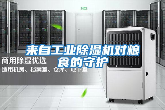 來自工業除濕機對糧食的守護