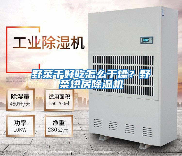 野菜干好吃怎么干燥?野菜烘房除濕機