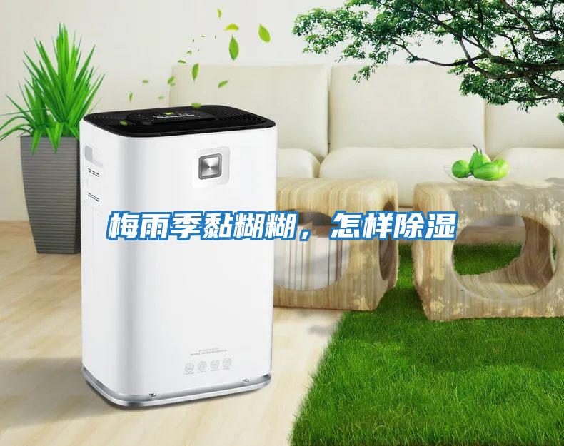 梅雨季黏糊糊，怎樣除濕