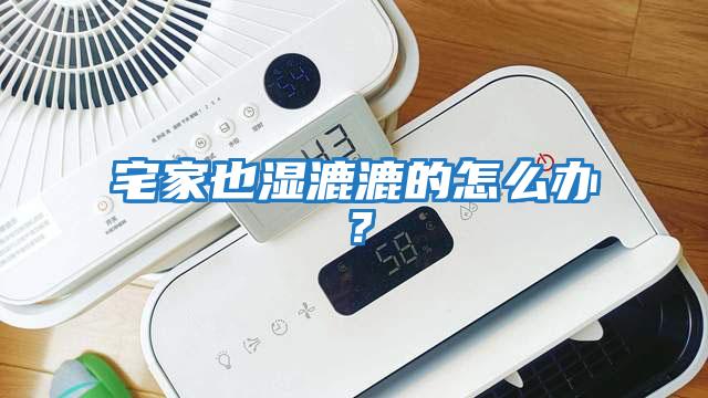 宅家也濕漉漉的怎么辦？