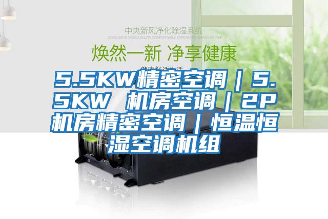 5.5KW精密空調|5.5KW 機房空調|2P機房精密空調|恒溫恒濕空調機組