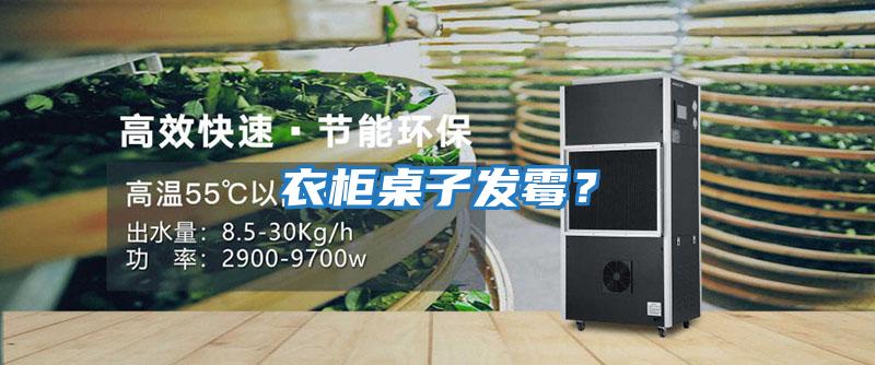 衣柜桌子發霉？