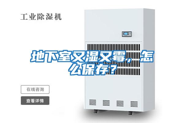 地下室又濕又霉,怎么保存?