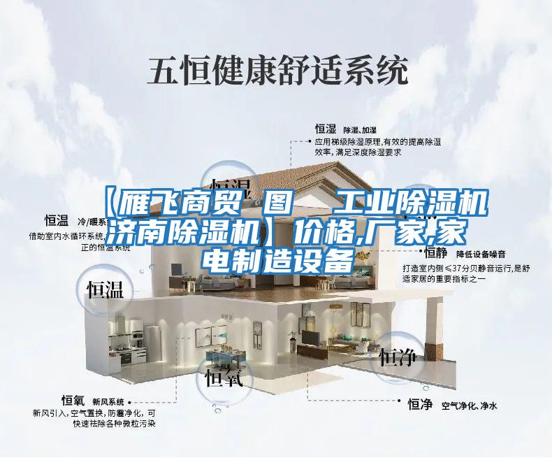 【雁飛商貿(mào) 圖  工業(yè)除濕機 濟南除濕機】價格,廠家,家電制造設備