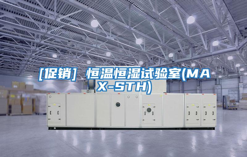 [促銷(xiāo)] 恒溫恒濕試驗(yàn)室(MAX-STH)