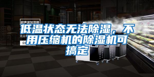 低溫狀態無法除濕,不用壓縮機的除濕機可搞定