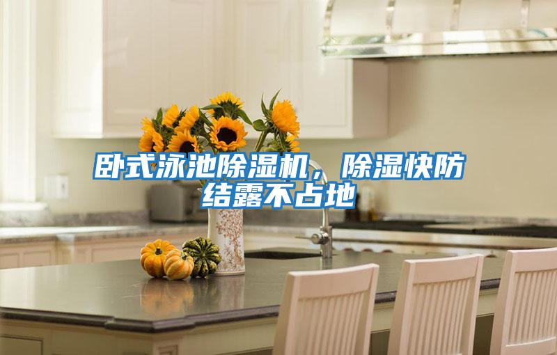 臥式泳池除濕機，除濕快防結露不占地