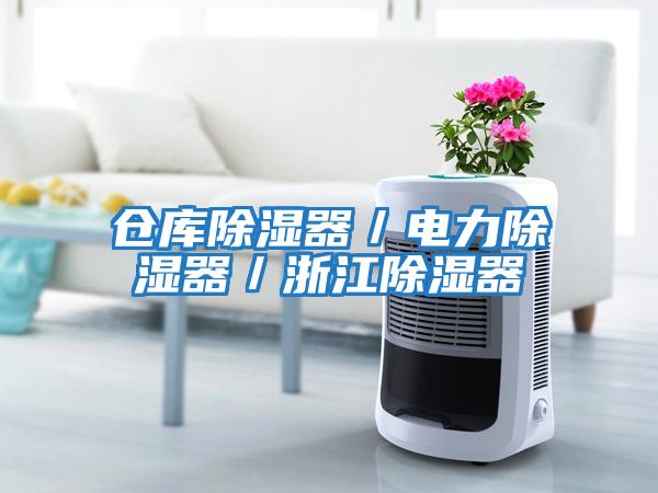 倉(cāng)庫(kù)除濕器/電力除濕器/浙江除濕器