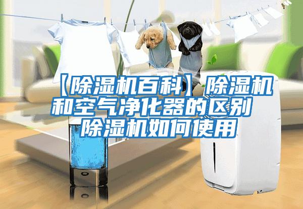 【除濕機百科】除濕機和空氣凈化器的區別 除濕機如何使用