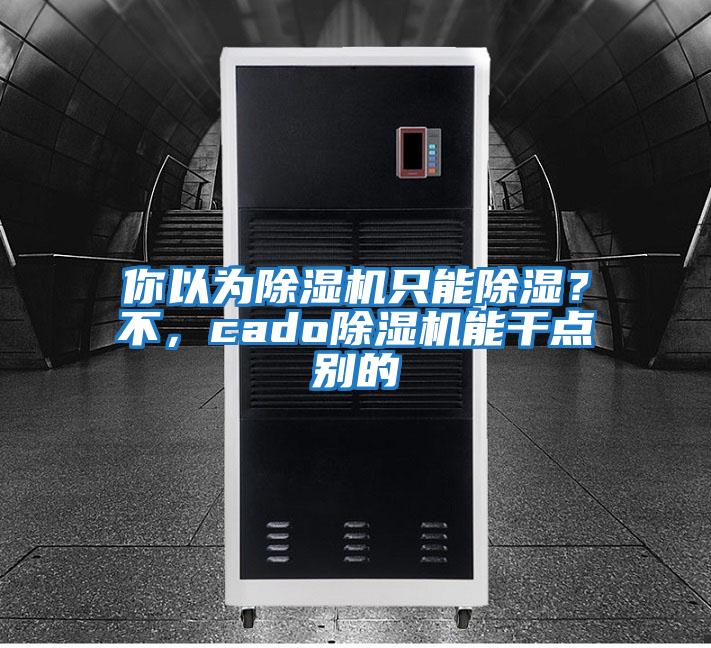 你以為除濕機只能除濕？不，cado除濕機能干點別的