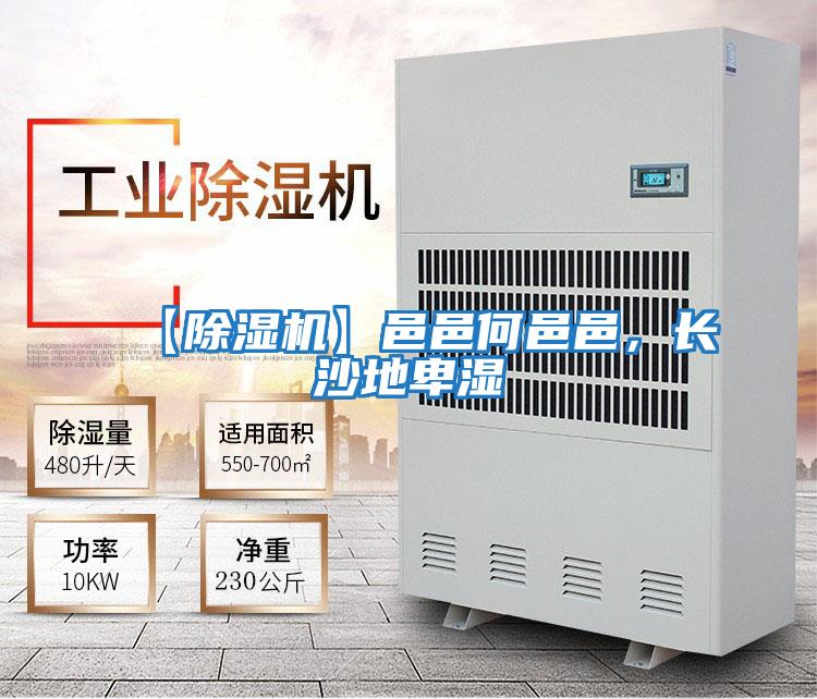 【除濕機】邑邑何邑邑，長沙地卑濕