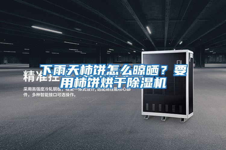下雨天柿餅怎么晾曬?要用柿餅烘干除濕機(jī)