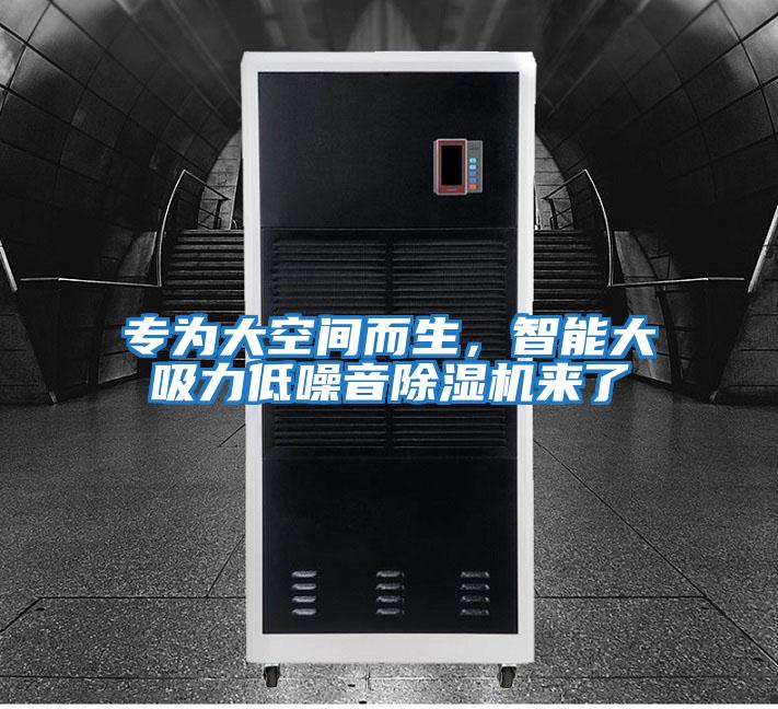 專為大空間而生，智能大吸力低噪音除濕機來了