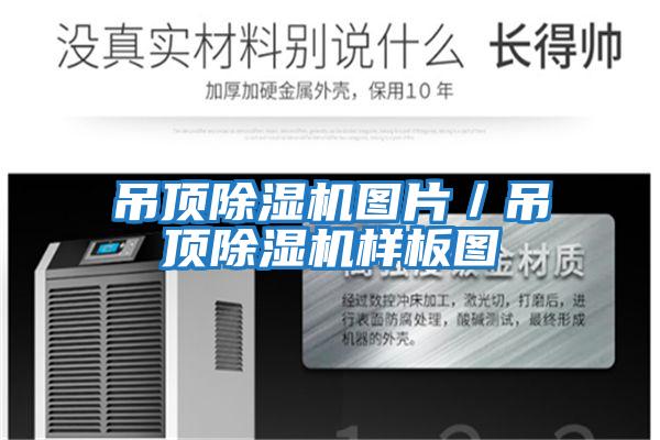 吊頂除濕機(jī)圖片/吊頂除濕機(jī)樣板圖