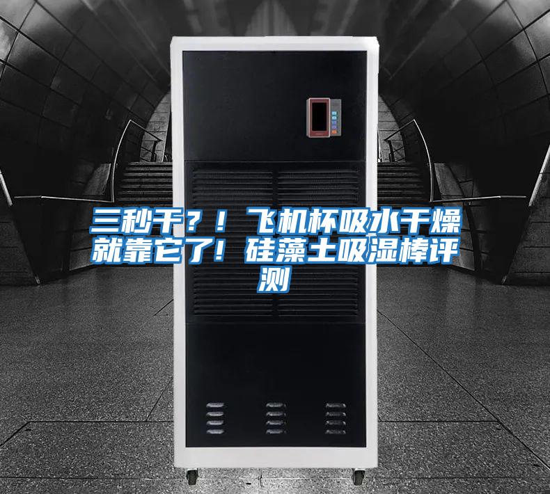 三秒干？! 飛機杯吸水干燥就靠它了! 硅藻土吸濕棒評測