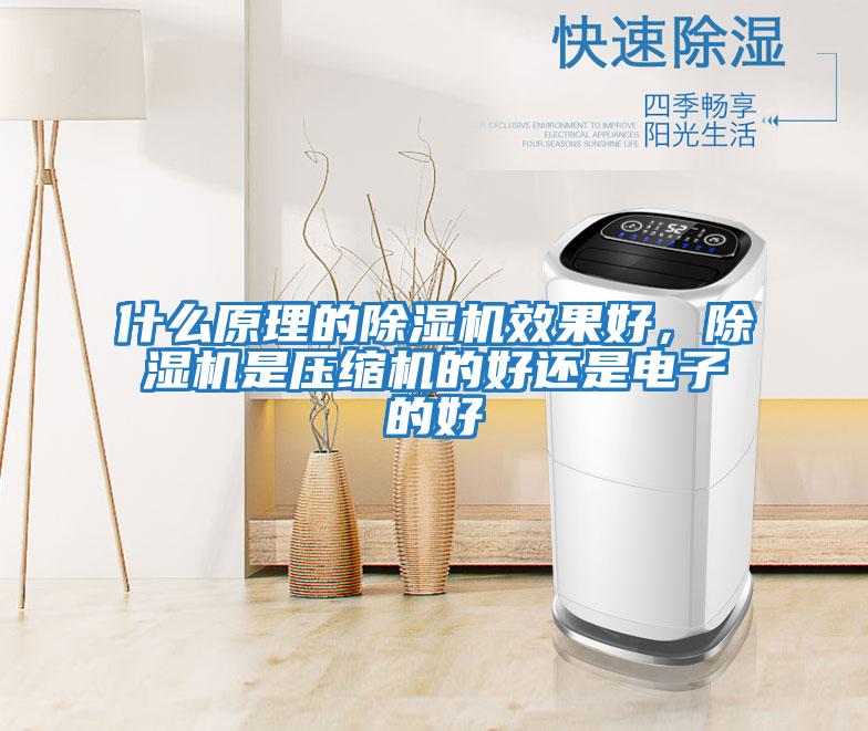 什么原理的除濕機效果好，除濕機是壓縮機的好還是電子的好