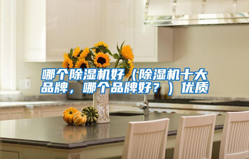 哪個(gè)除濕機(jī)好（除濕機(jī)十大品牌，哪個(gè)品牌好？）優(yōu)質(zhì)