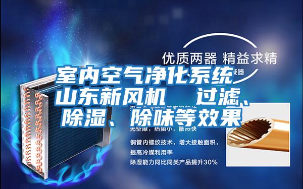 室內(nèi)空氣凈化系統(tǒng) 山東新風(fēng)機(jī)  過(guò)濾、除濕、除味等效果