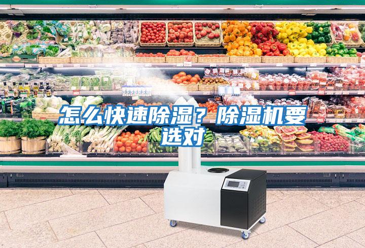 怎么快速除濕?除濕機要選對