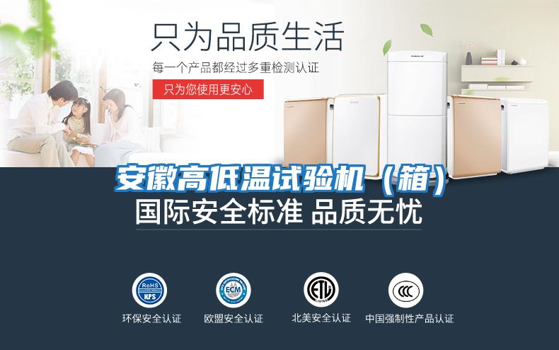 安徽高低溫試驗(yàn)機(jī)(箱)