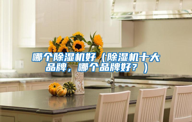 哪個(gè)除濕機(jī)好(除濕機(jī)十大品牌,哪個(gè)品牌好?)