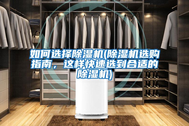 如何選擇除濕機(除濕機選購指南，這樣快速選到合適的除濕機)