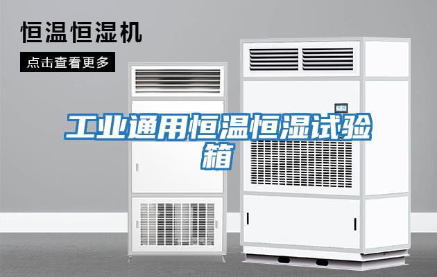 工業通用恒溫恒濕試驗箱