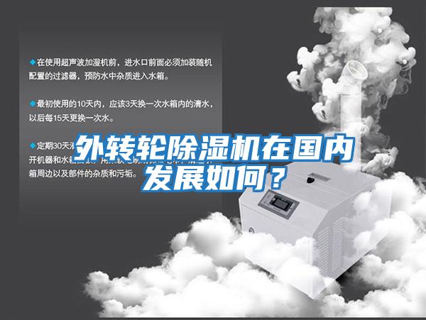 外轉輪除濕機在國內發展如何？