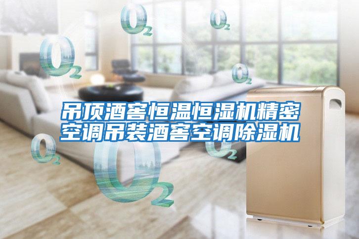 吊頂酒窖恒溫恒濕機精密空調吊裝酒窖空調除濕機