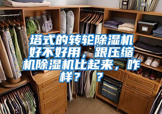 塔式的轉輪除濕機好不好用，跟壓縮機除濕機比起來，咋樣？ ？