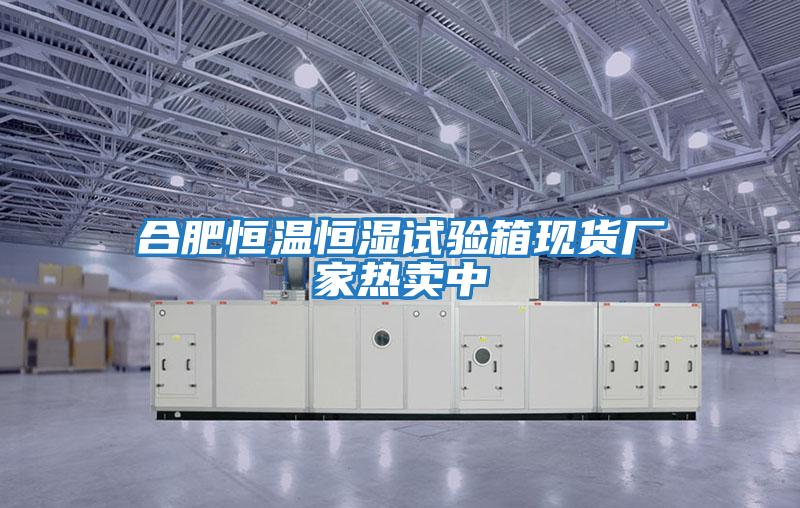 合肥恒溫恒濕試驗(yàn)箱現(xiàn)貨廠家熱賣(mài)中