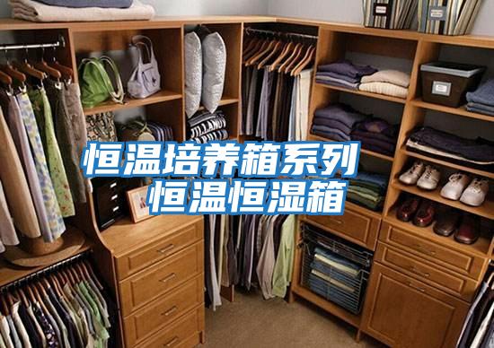 恒溫培養(yǎng)箱系列 恒溫恒濕箱