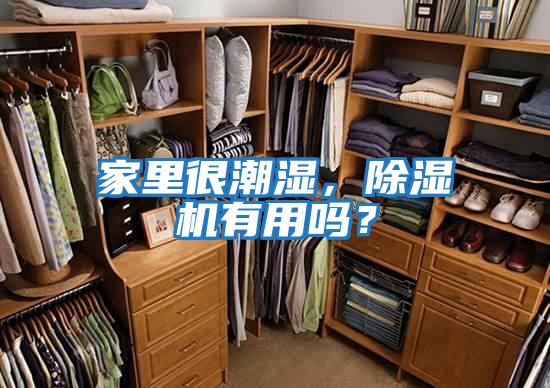 家里很潮濕，除濕機(jī)有用嗎？