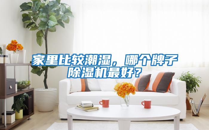家里比較潮濕，哪個(gè)牌子除濕機(jī)最好？