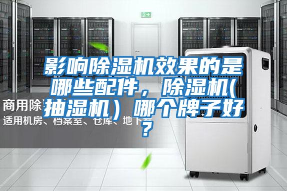 影響除濕機效果的是哪些配件，除濕機(抽濕機）哪個牌子好？