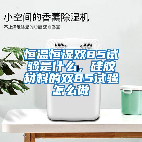 恒溫恒濕雙85試驗是什么，硅膠材料的雙85試驗怎么做