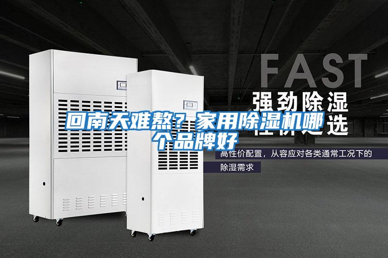 回南天難熬？家用除濕機(jī)哪個(gè)品牌好