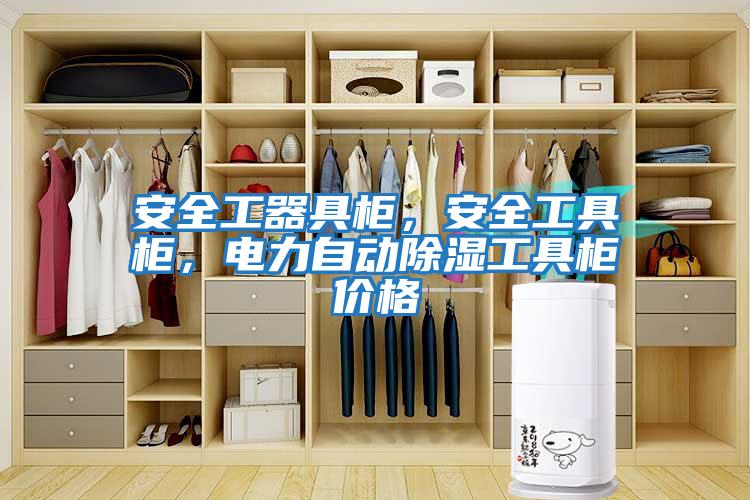 安全工器具柜，安全工具柜，電力自動除濕工具柜價格