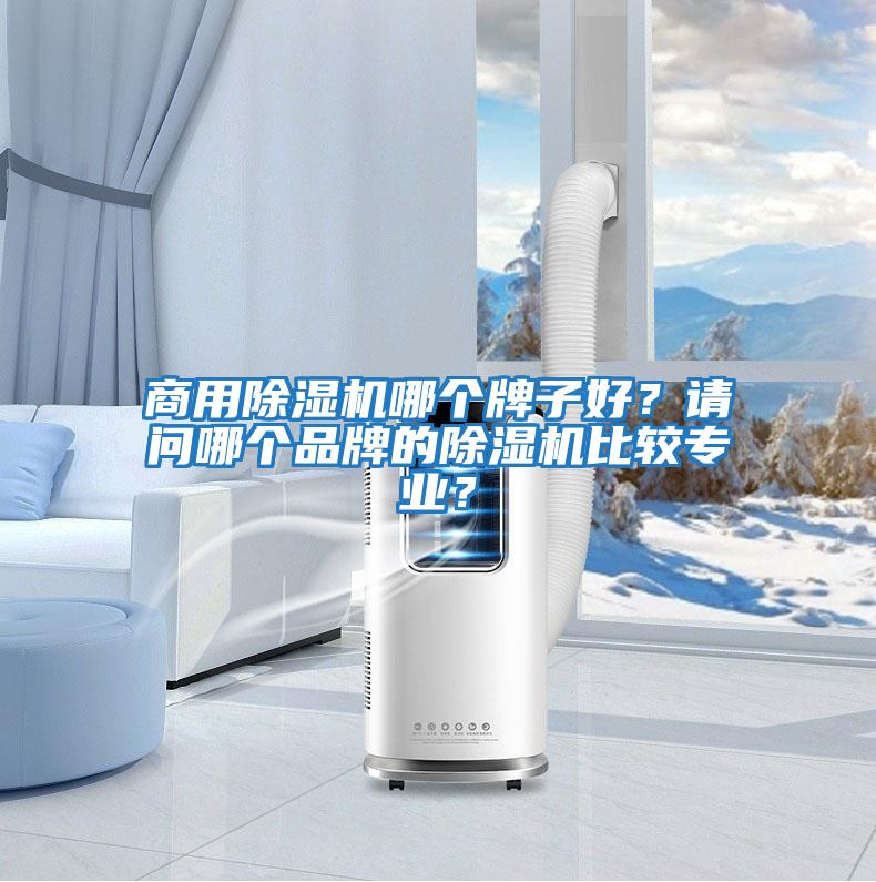 商用除濕機哪個牌子好？請問哪個品牌的除濕機比較專業？