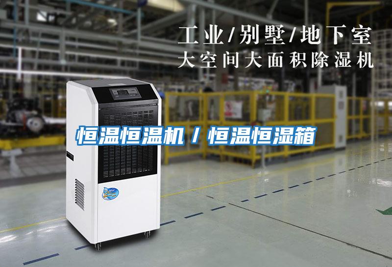 恒溫恒溫機(jī)/恒溫恒濕箱